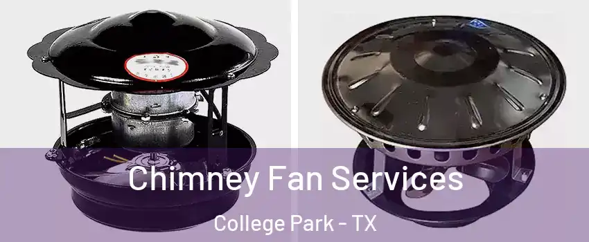 Chimney Fan Services College Park - TX