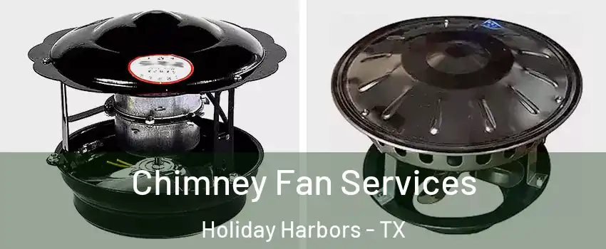 Chimney Fan Services Holiday Harbors - TX