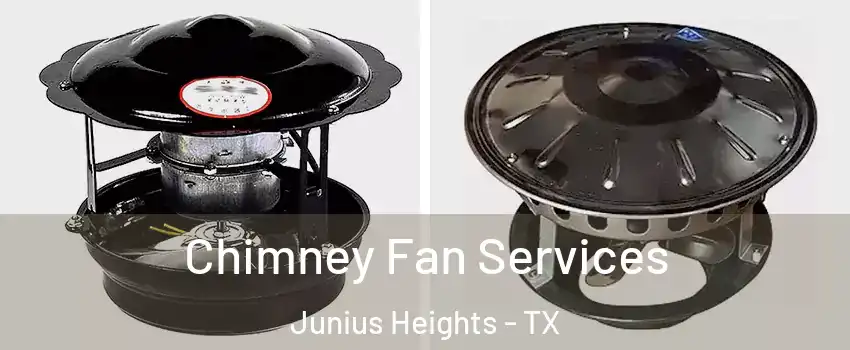 Chimney Fan Services Junius Heights - TX