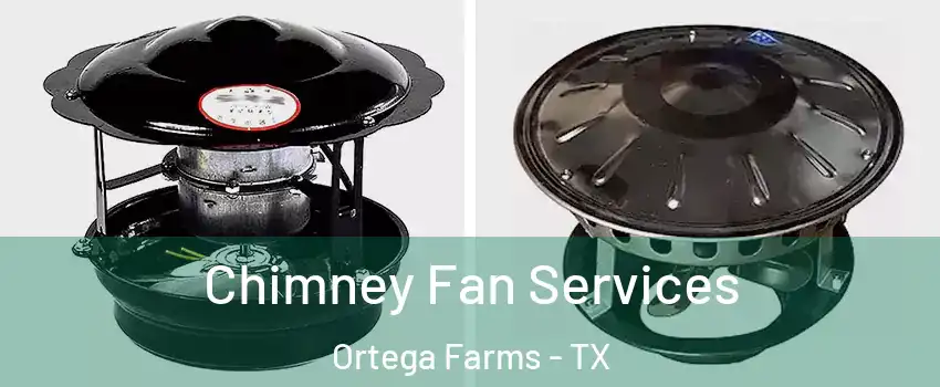 Chimney Fan Services Ortega Farms - TX