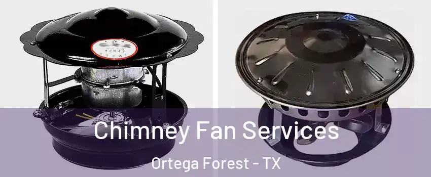 Chimney Fan Services Ortega Forest - TX