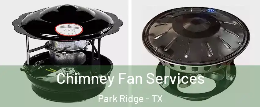 Chimney Fan Services Park Ridge - TX