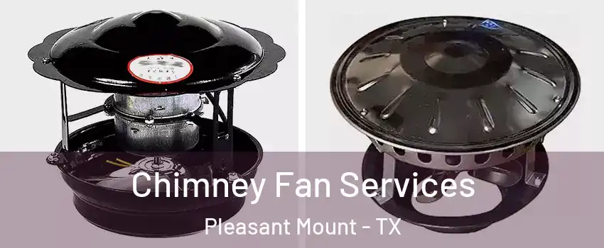 Chimney Fan Services Pleasant Mount - TX