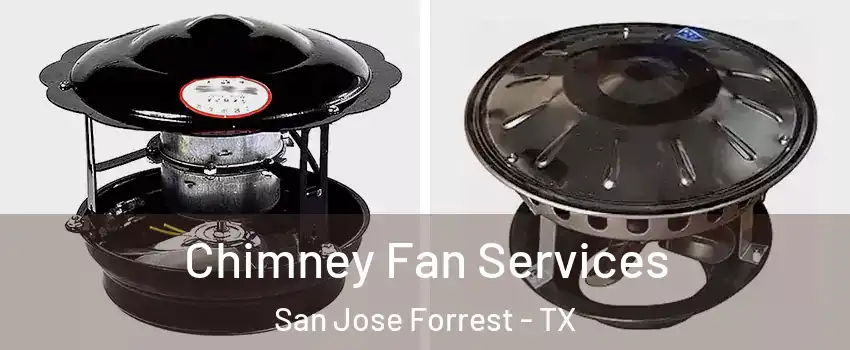Chimney Fan Services San Jose Forrest - TX