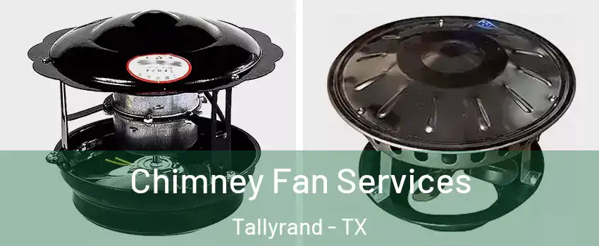 Chimney Fan Services Tallyrand - TX