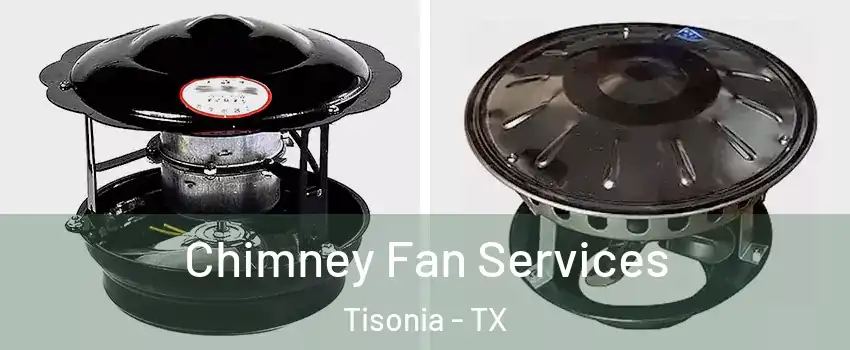 Chimney Fan Services Tisonia - TX
