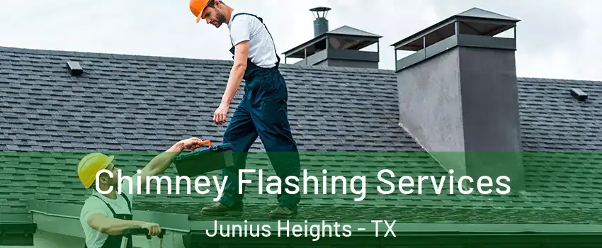 Chimney Flashing Services Junius Heights - TX