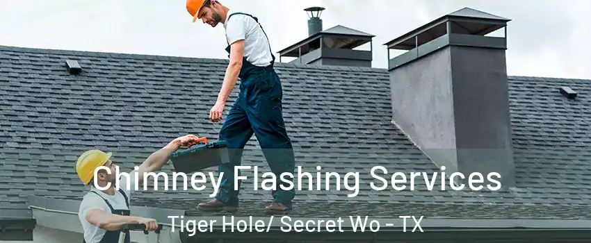 Chimney Flashing Services Tiger Hole/ Secret Wo - TX
