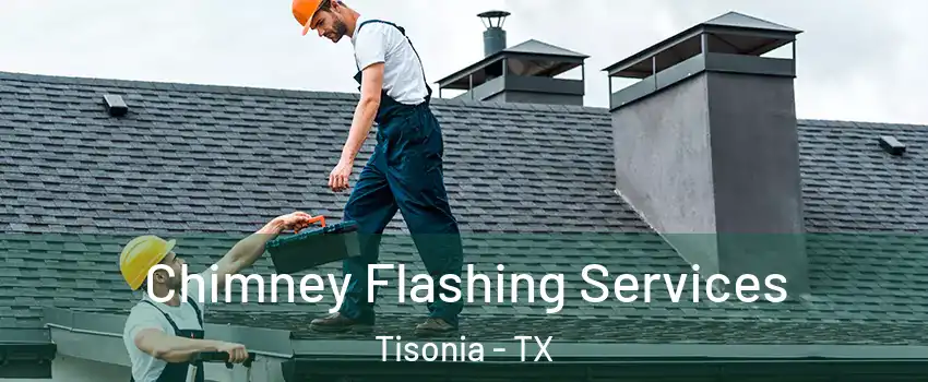 Chimney Flashing Services Tisonia - TX