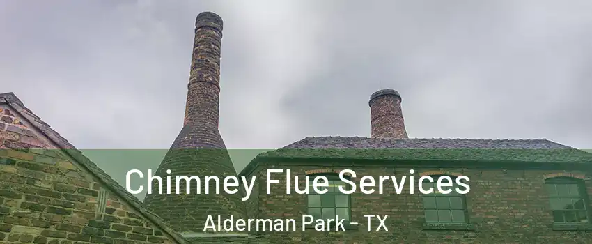 Chimney Flue Services Alderman Park - TX