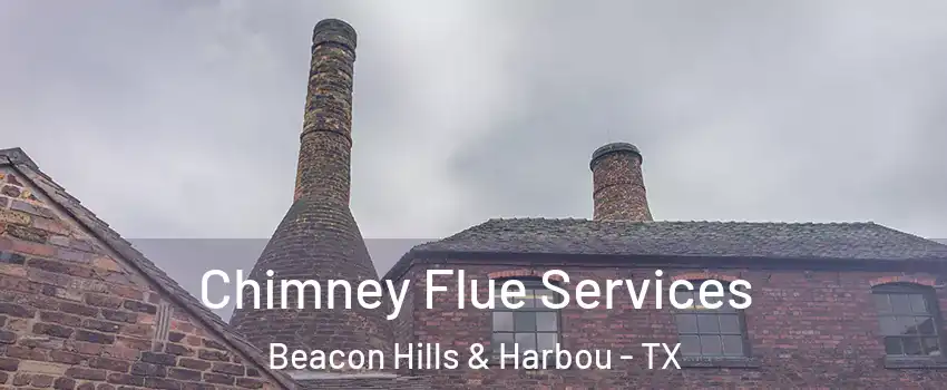 Chimney Flue Services Beacon Hills & Harbou - TX