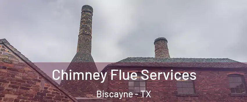 Chimney Flue Services Biscayne - TX