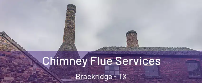 Chimney Flue Services Brackridge - TX