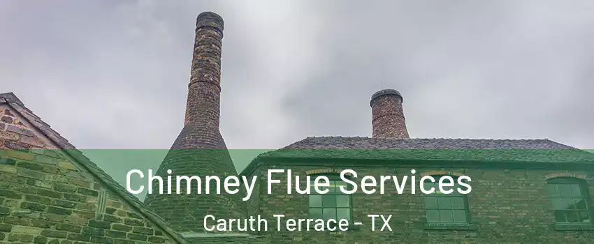 Chimney Flue Services Caruth Terrace - TX