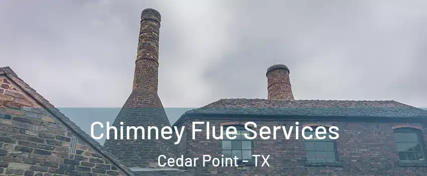 Chimney Flue Services Cedar Point - TX