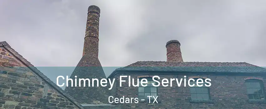 Chimney Flue Services Cedars - TX