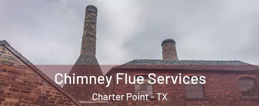 Chimney Flue Services Charter Point - TX