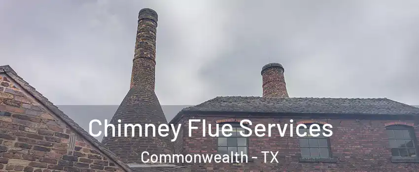 Chimney Flue Services Commonwealth - TX