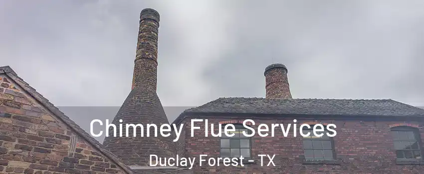 Chimney Flue Services Duclay Forest - TX