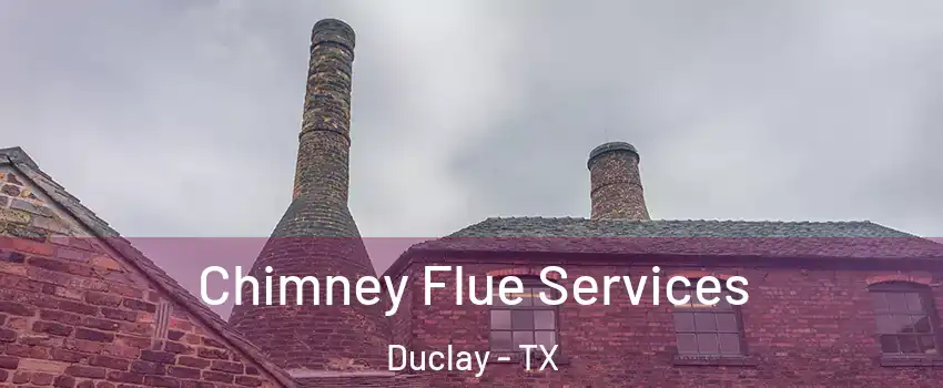 Chimney Flue Services Duclay - TX