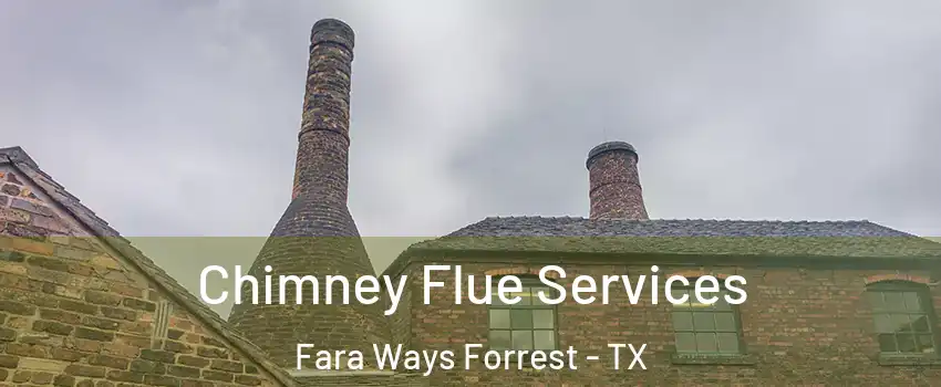 Chimney Flue Services Fara Ways Forrest - TX