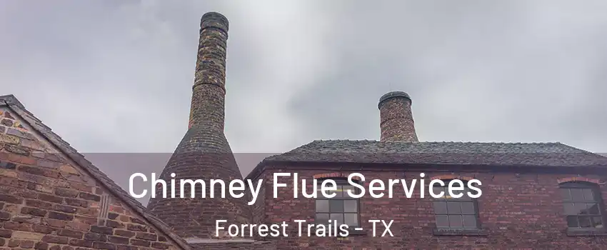 Chimney Flue Services Forrest Trails - TX