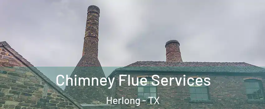 Chimney Flue Services Herlong - TX