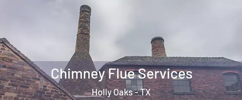Chimney Flue Services Holly Oaks - TX