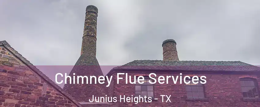 Chimney Flue Services Junius Heights - TX