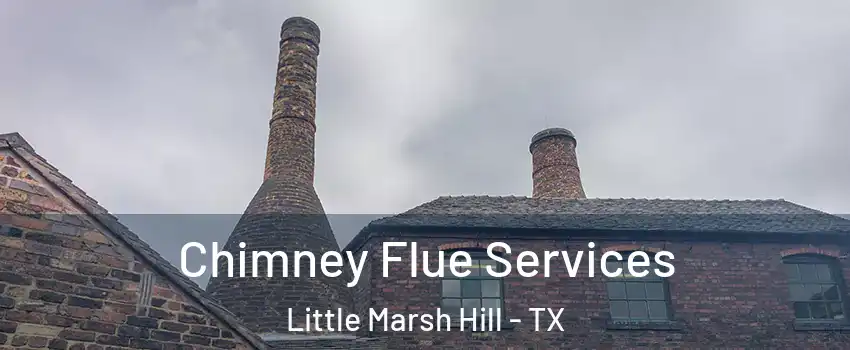 Chimney Flue Services Little Marsh Hill - TX