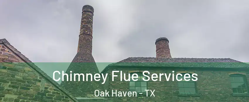 Chimney Flue Services Oak Haven - TX