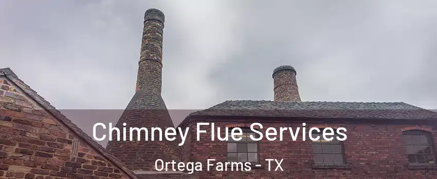 Chimney Flue Services Ortega Farms - TX