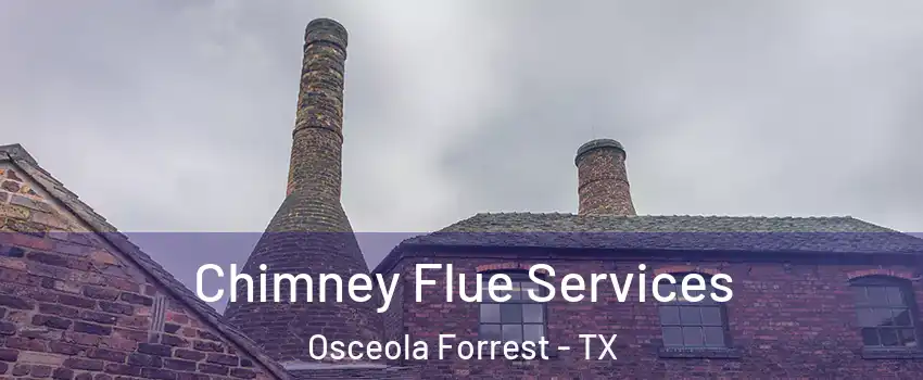 Chimney Flue Services Osceola Forrest - TX