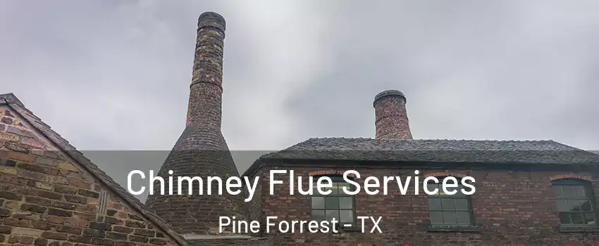Chimney Flue Services Pine Forrest - TX