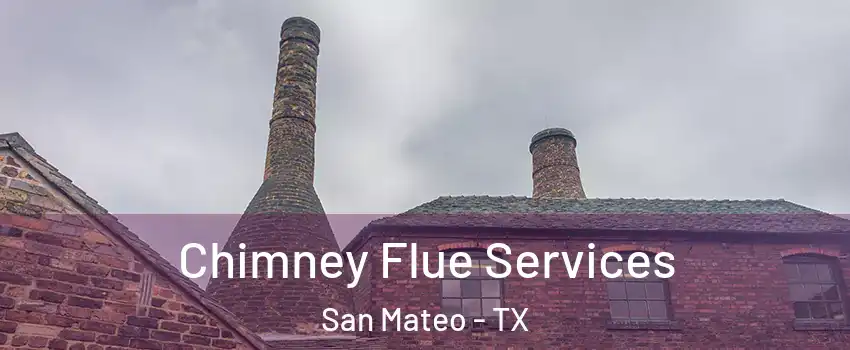 Chimney Flue Services San Mateo - TX