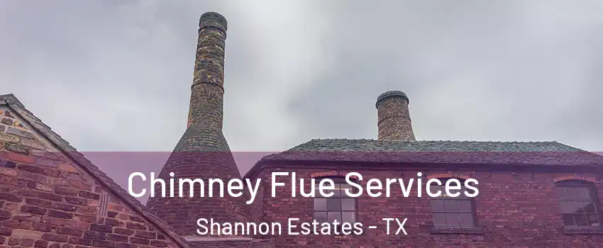 Chimney Flue Services Shannon Estates - TX