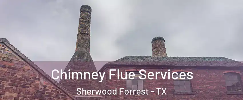 Chimney Flue Services Sherwood Forrest - TX