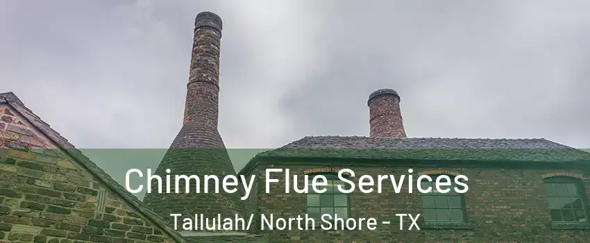 Chimney Flue Services Tallulah/ North Shore - TX