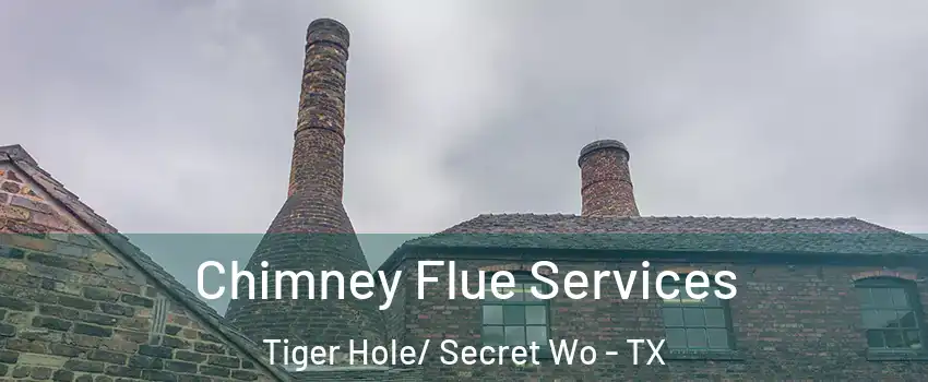 Chimney Flue Services Tiger Hole/ Secret Wo - TX