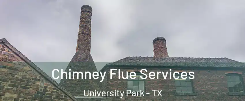 Chimney Flue Services University Park - TX
