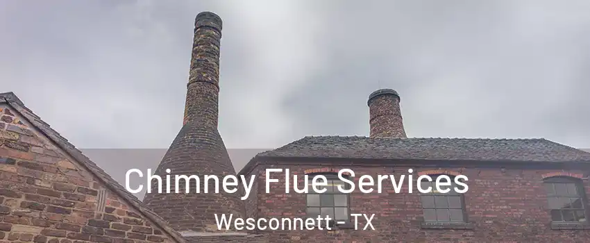Chimney Flue Services Wesconnett - TX