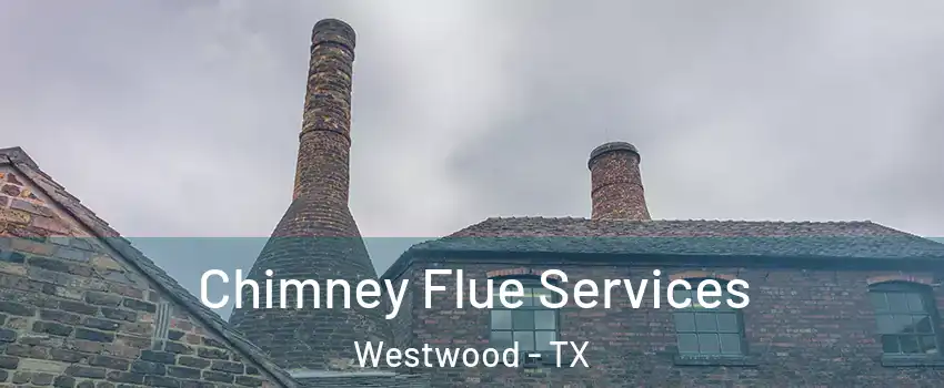 Chimney Flue Services Westwood - TX