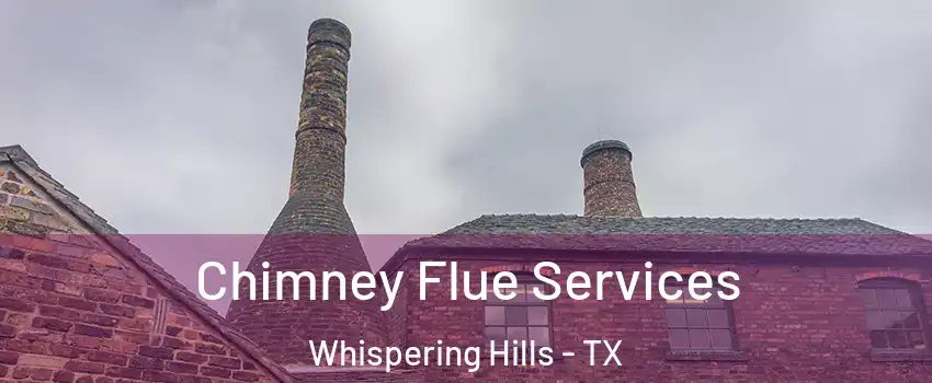 Chimney Flue Services Whispering Hills - TX
