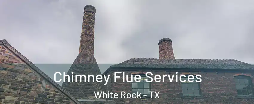 Chimney Flue Services White Rock - TX