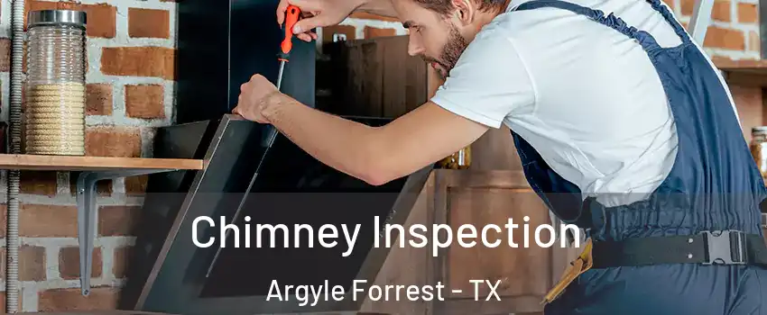 Chimney Inspection Argyle Forrest - TX