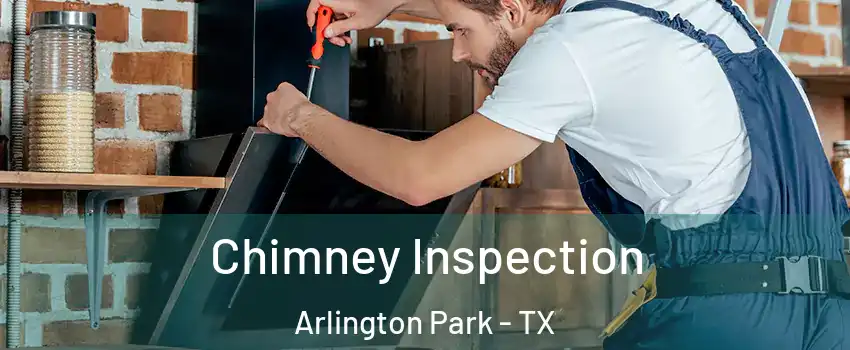 Chimney Inspection Arlington Park - TX