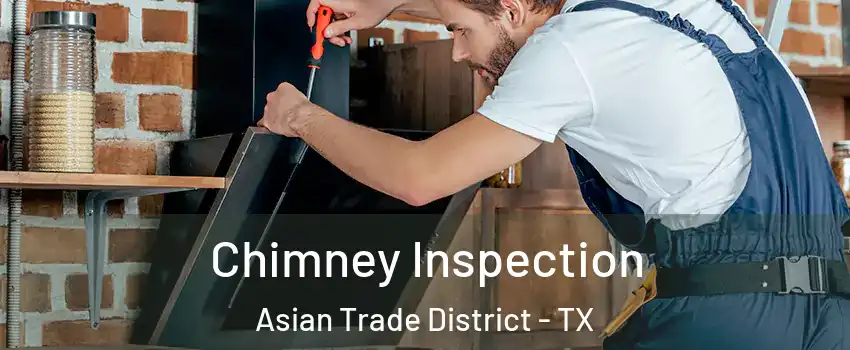 Chimney Inspection Asian Trade District - TX