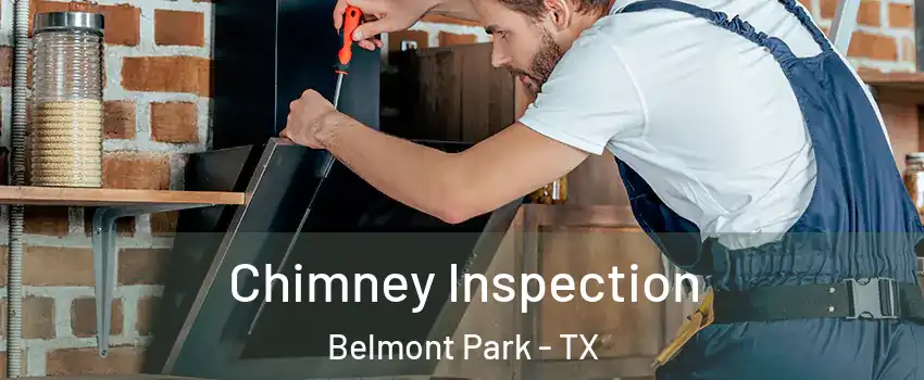 Chimney Inspection Belmont Park - TX