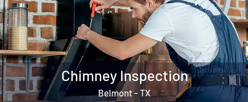 Chimney Inspection Belmont - TX