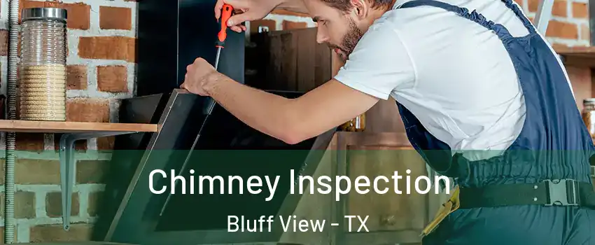 Chimney Inspection Bluff View - TX